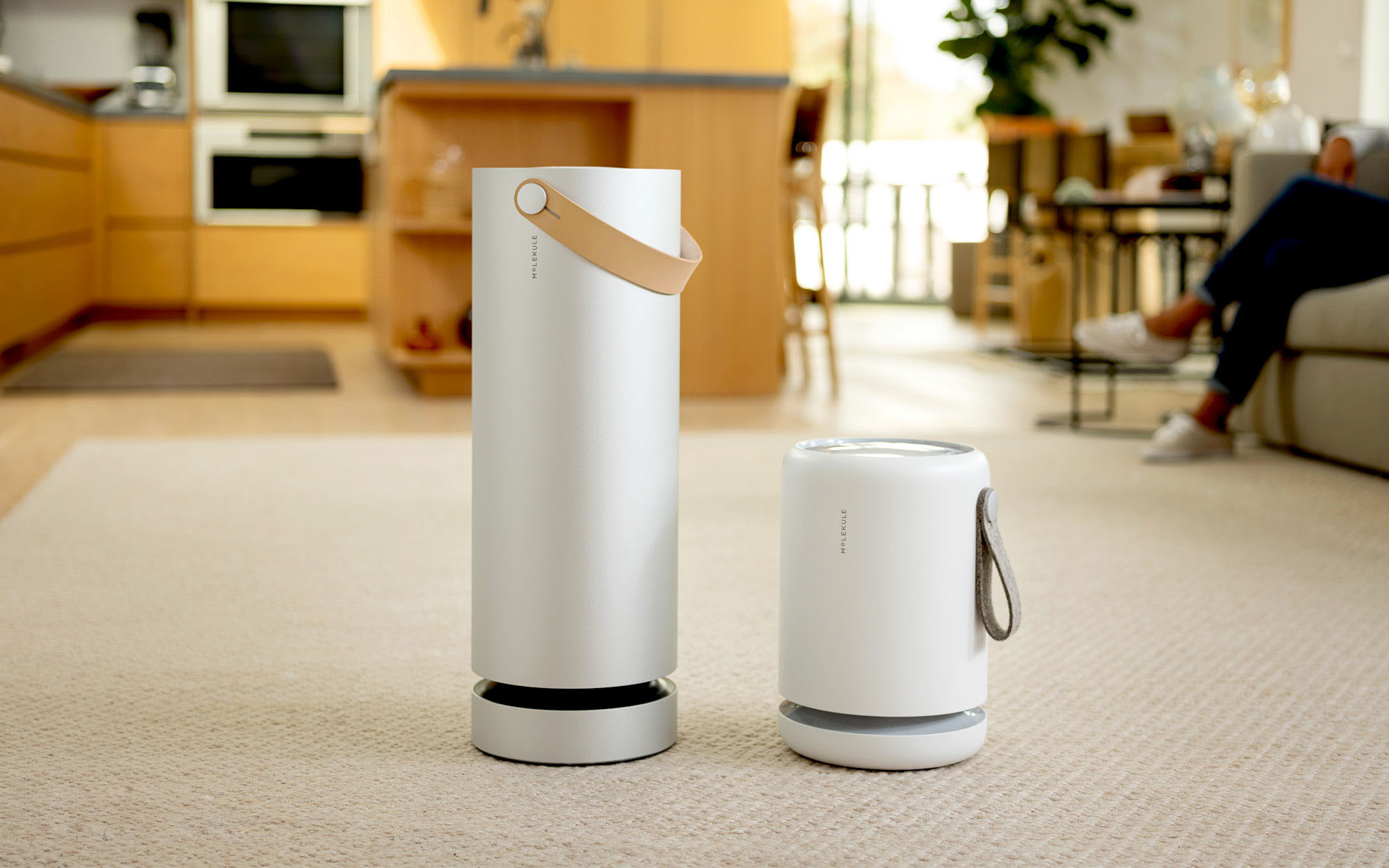 HEPA Air Filters capture viruses and pollutants in the air